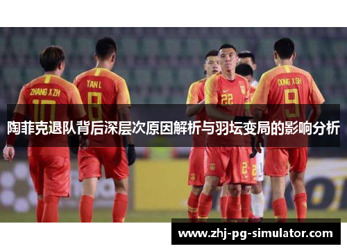 陶菲克退队背后深层次原因解析与羽坛变局的影响分析 陶菲克退队背后深层次原因解析与羽坛变局的影响分析