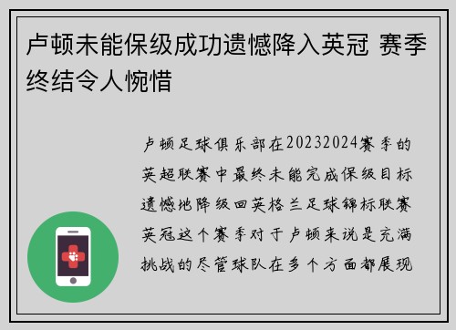 卢顿未能保级成功遗憾降入英冠 赛季终结令人惋惜